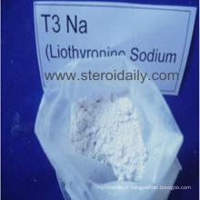 L-Triiodothyronine (T3) ou Liothyronine Sodium T3 Na stéroïde